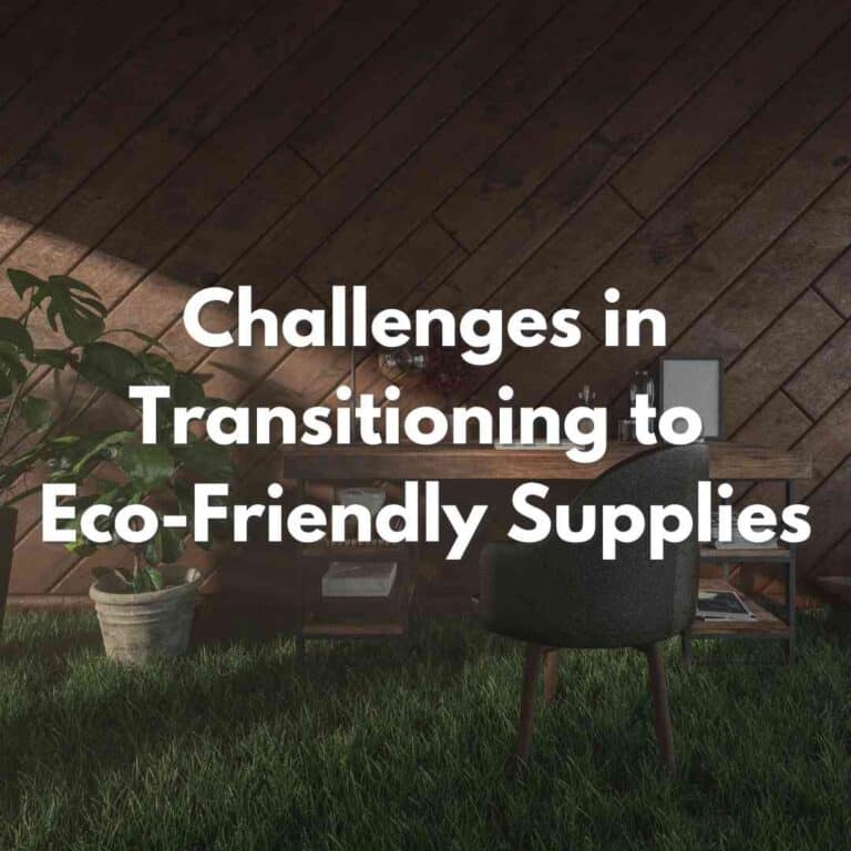 Challenges in Transitioning to Eco-Friendly Office Supplies