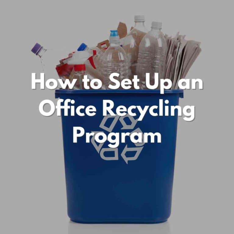 How to Set Up an Office Recycling Program